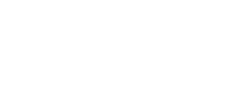 25 years of professional experience